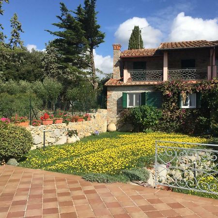 B&B Le Palme Амелия Экстерьер фото