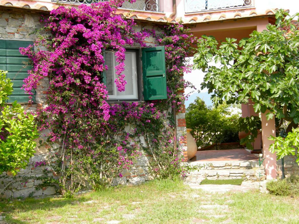 B&B Le Palme Амелия Экстерьер фото