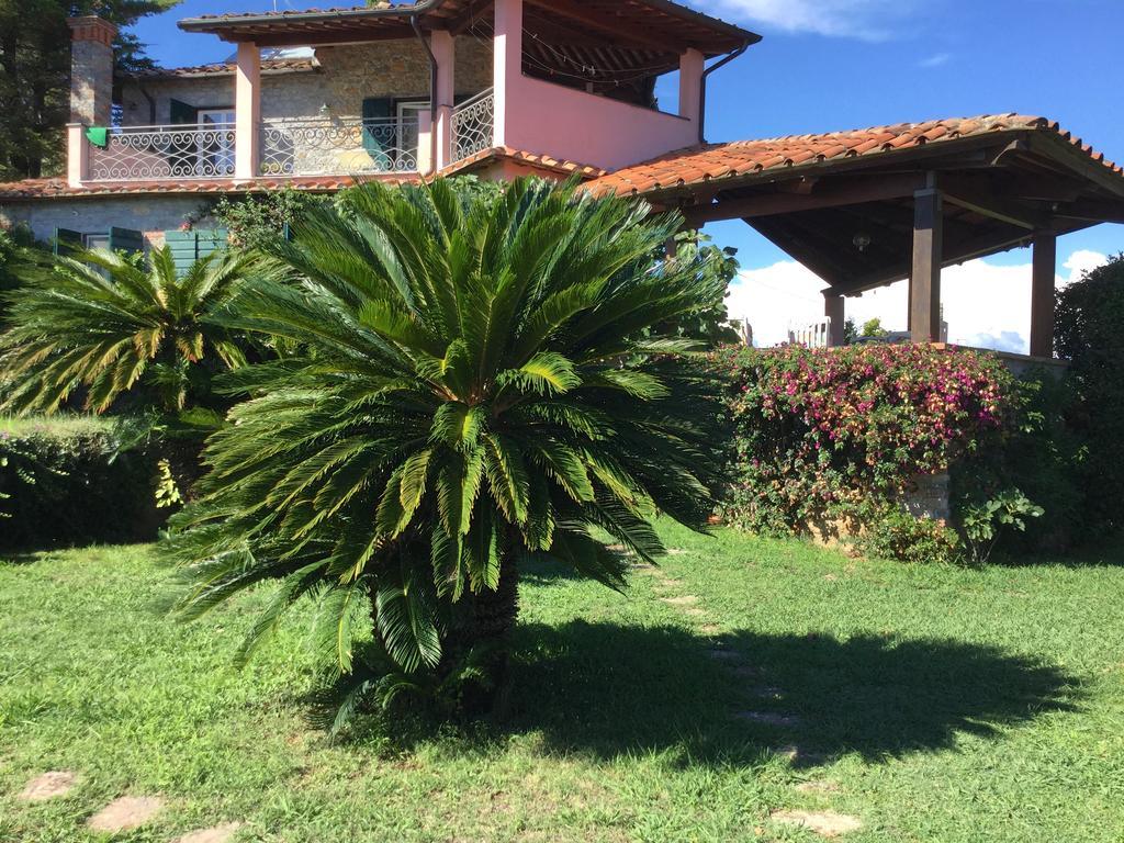 B&B Le Palme Амелия Экстерьер фото
