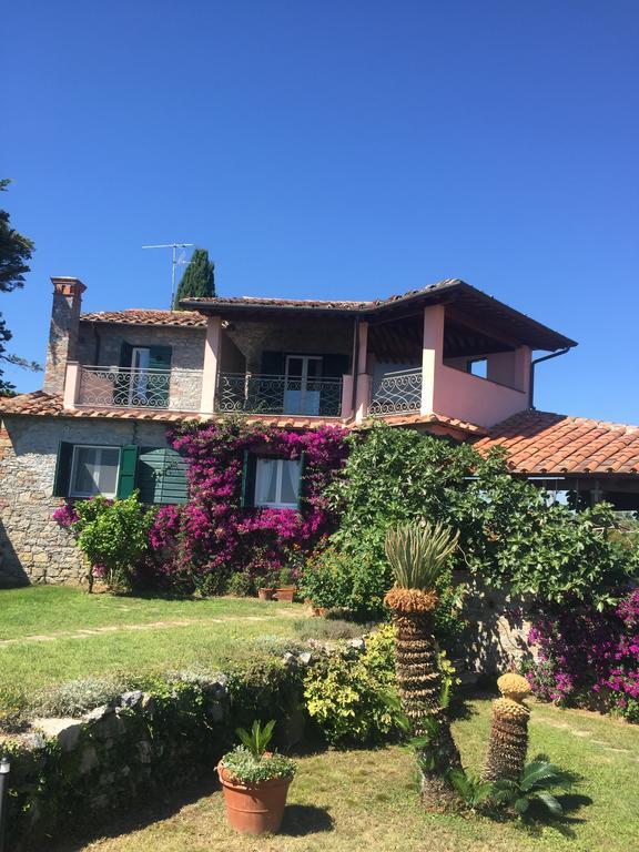 B&B Le Palme Амелия Экстерьер фото