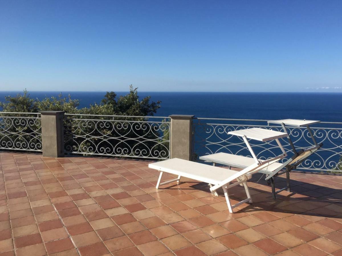 B&B Le Palme Амелия Экстерьер фото